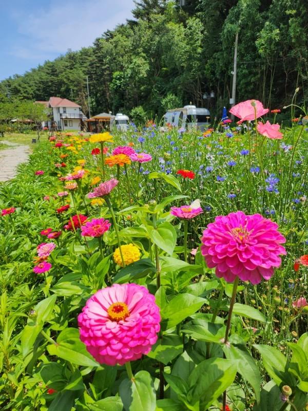 숙소 시설