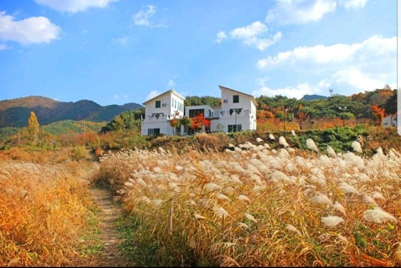 숙소 시설