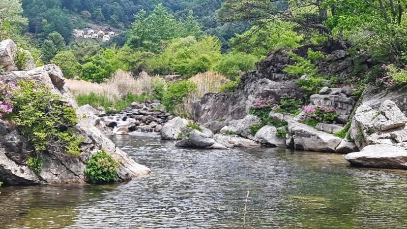 숙소 시설
