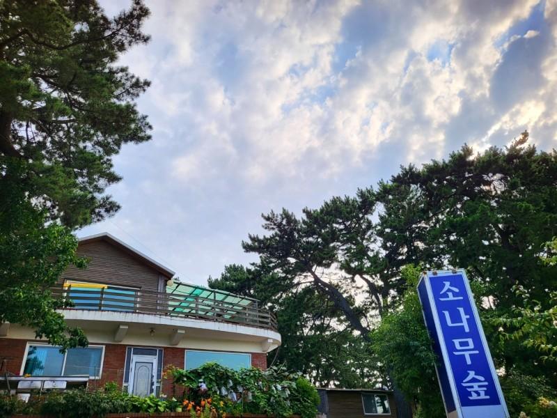 Daebudo Pine Forest Pension