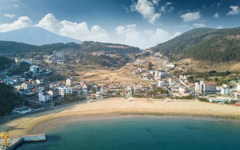 대표 사진