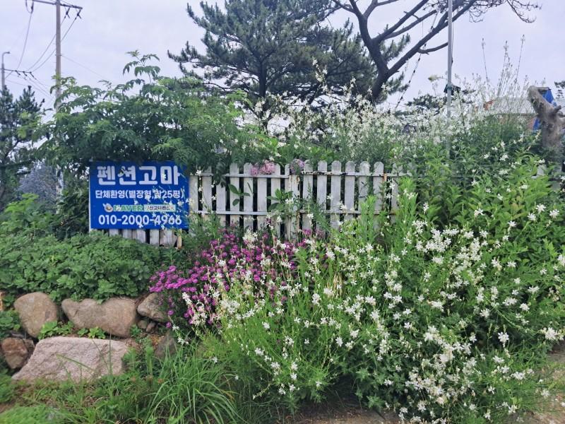 Busan Goma Pension