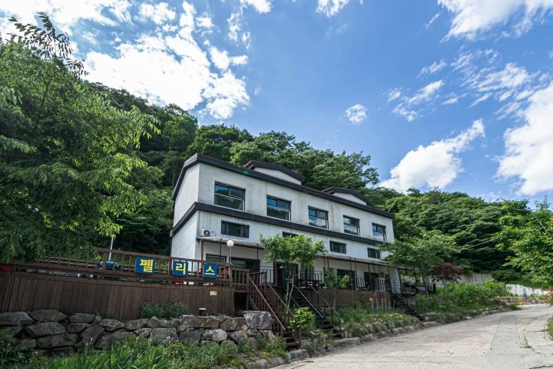 대표 사진