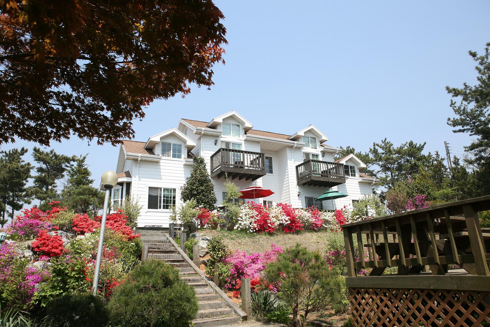 Taean Blueberry Pension
