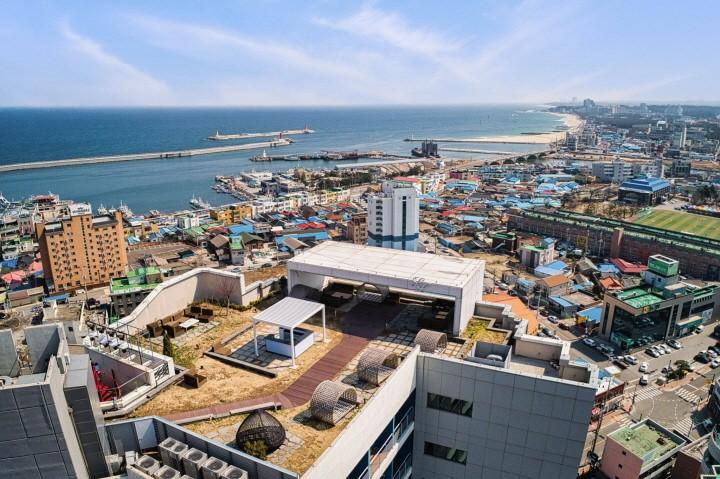 대표 사진