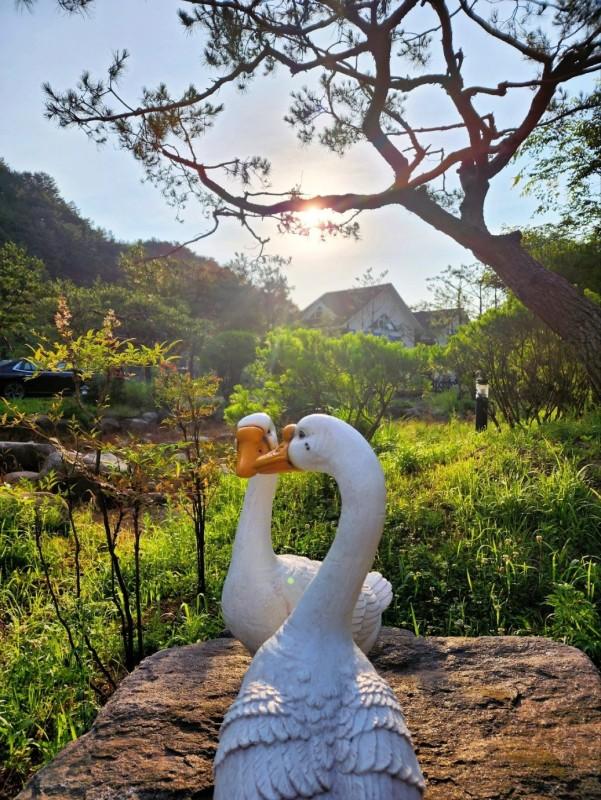 숙소 시설
