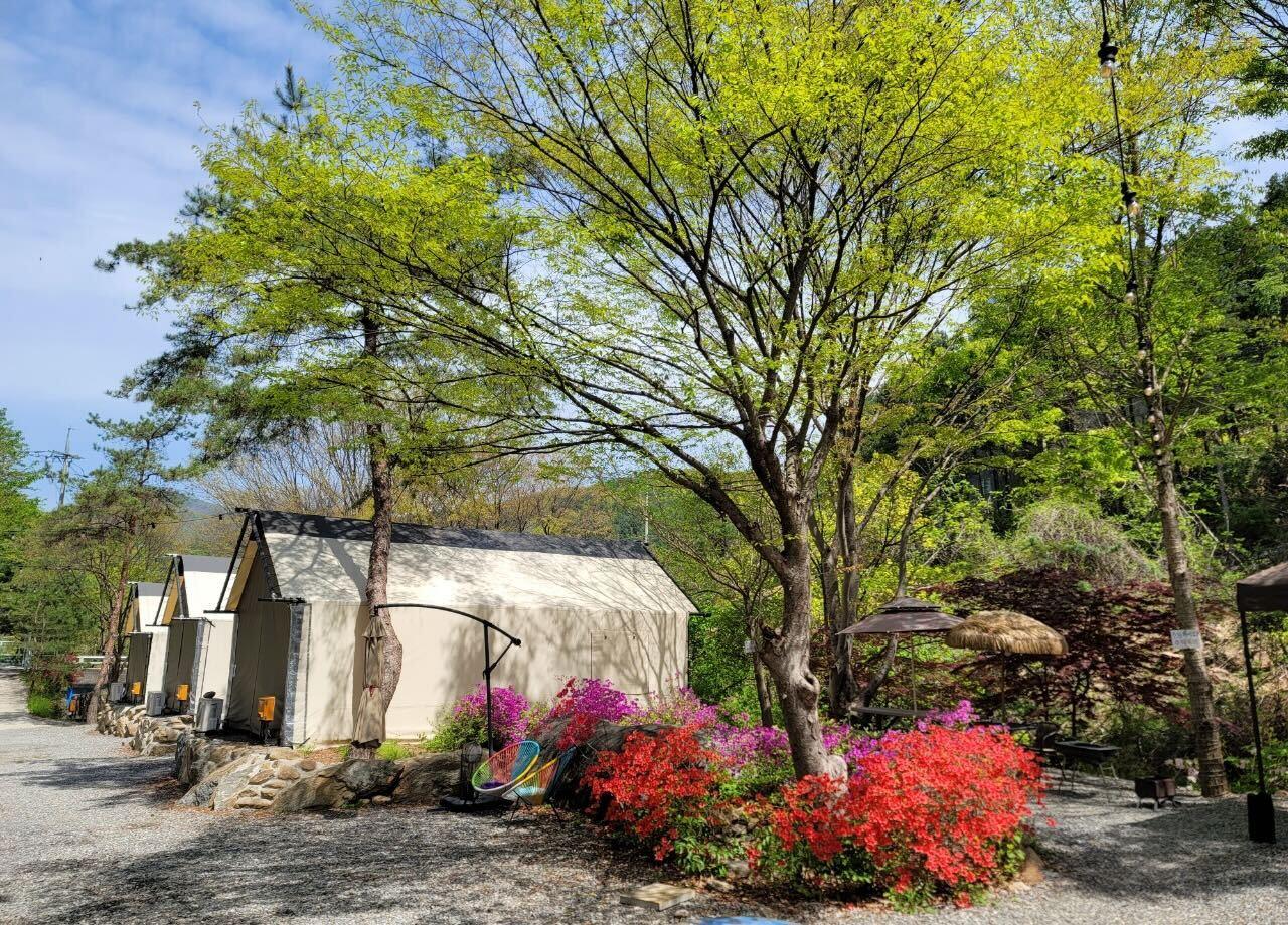 Gapyeong Arin Glamping