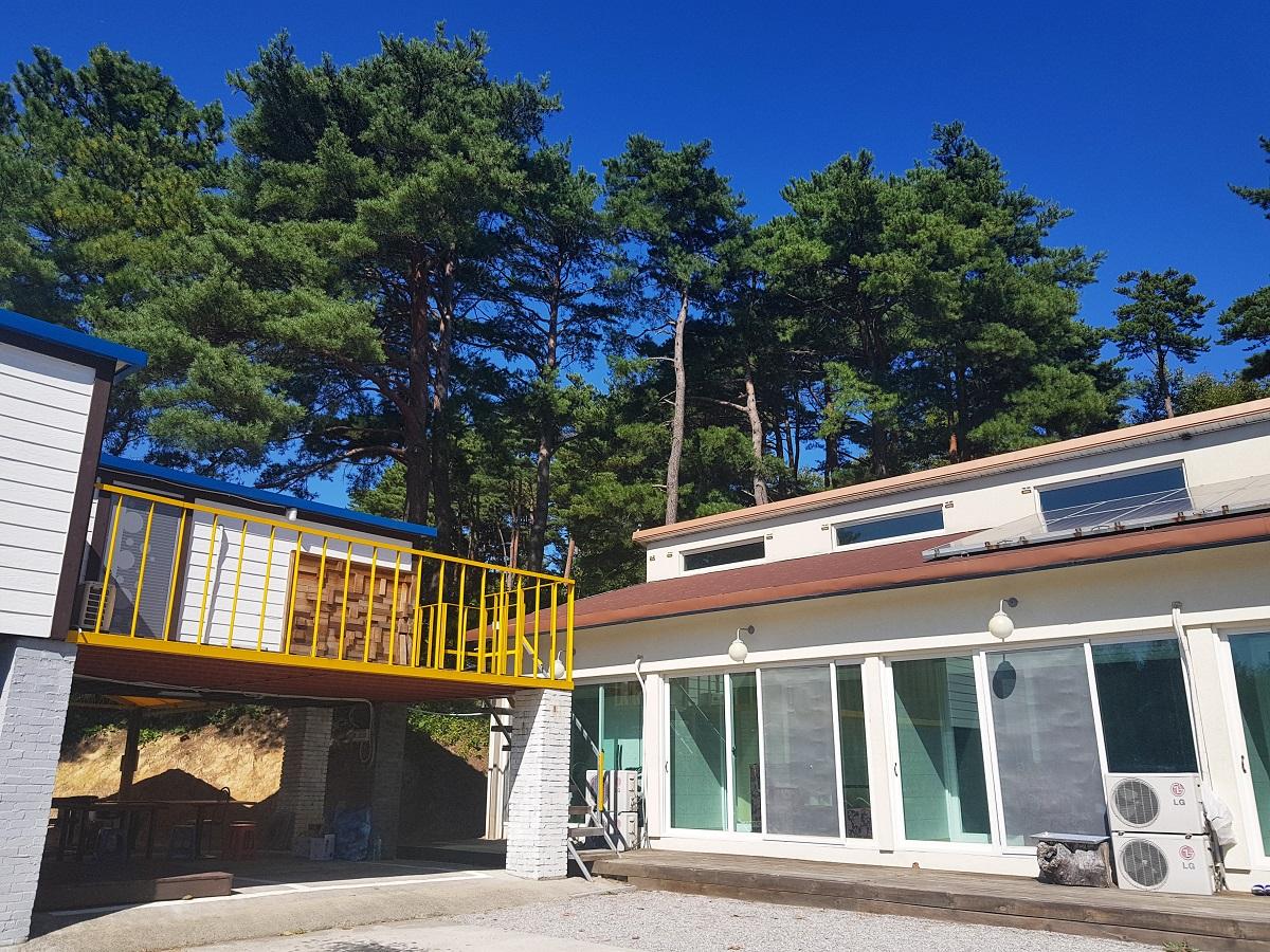 Gangneung Pine Tree Pension