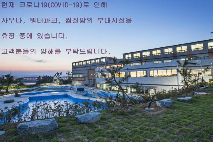 대표 사진