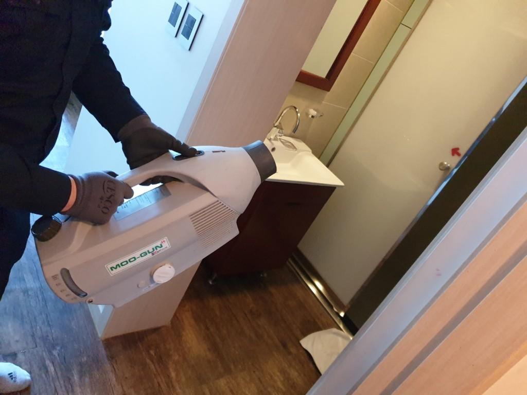 대표 사진