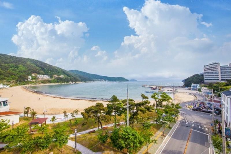 대표 사진