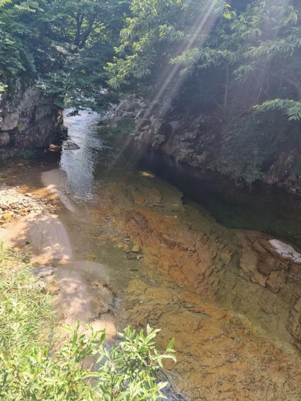 대표 사진