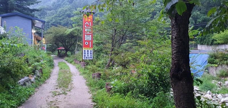 대표 사진