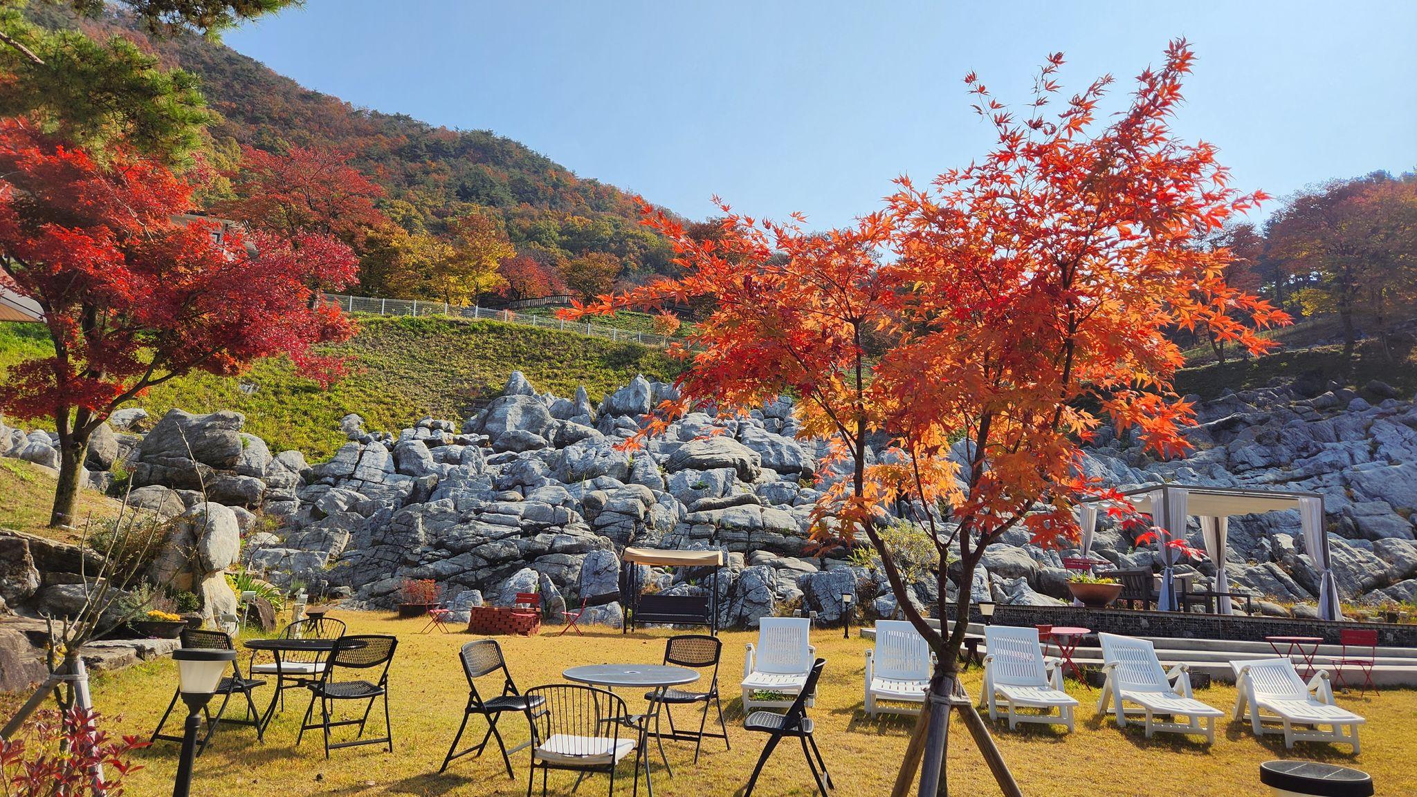 대표 사진