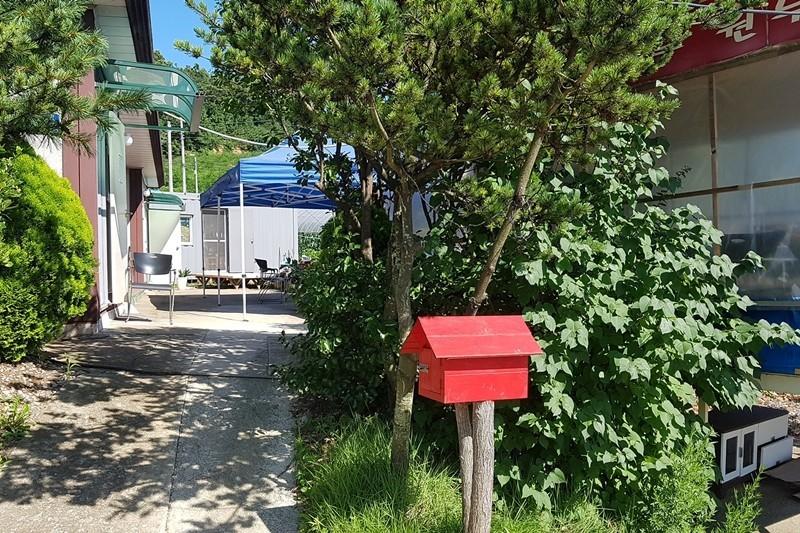 Daebudo (Yeongheungdo) Rural Marubang Pension-23