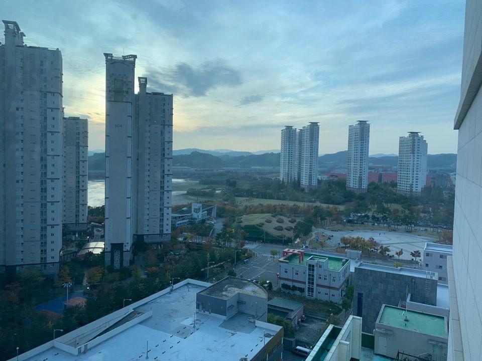 대표 사진