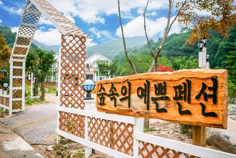Pocheon Forest Inside Pretty Pension-3
