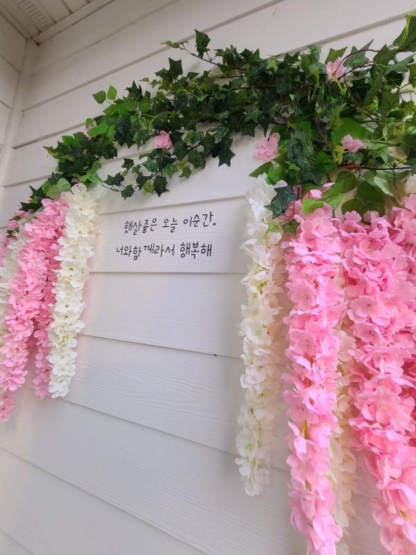 대표 사진