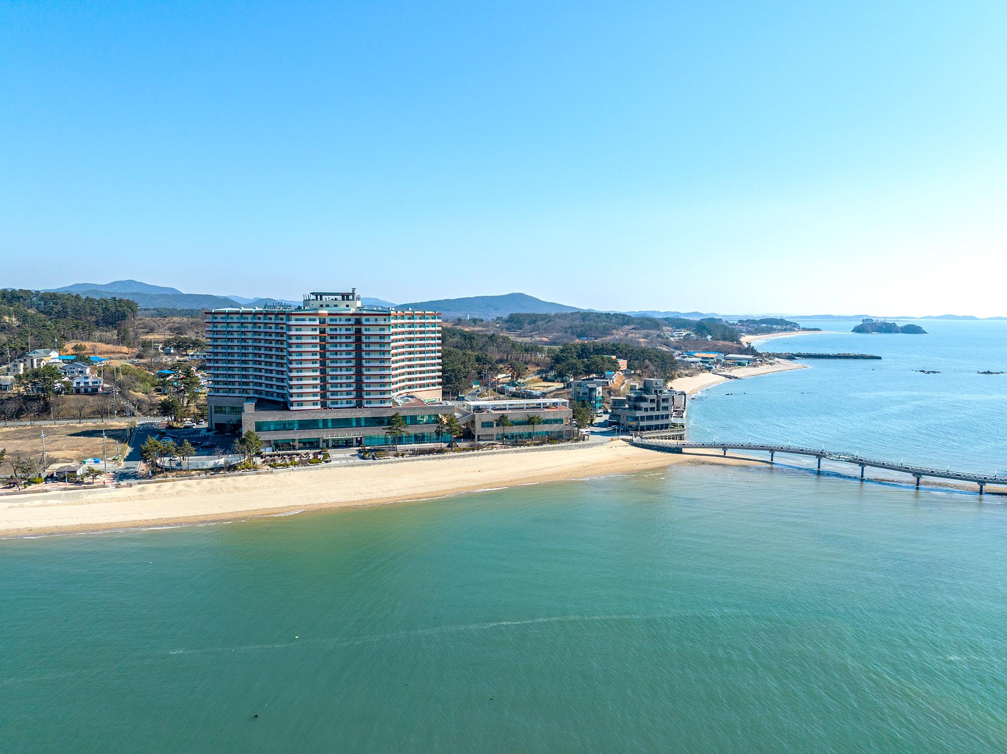 대표 사진