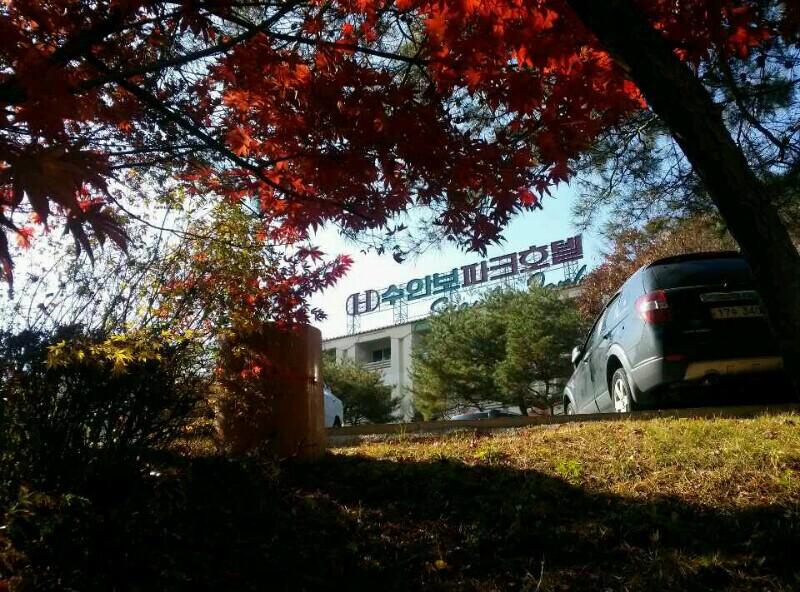 전경
