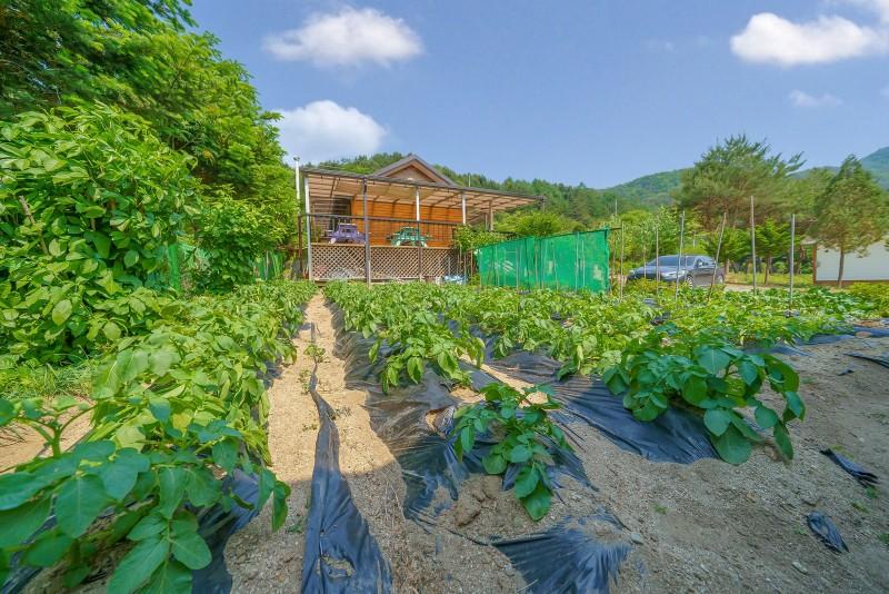 대표 사진
