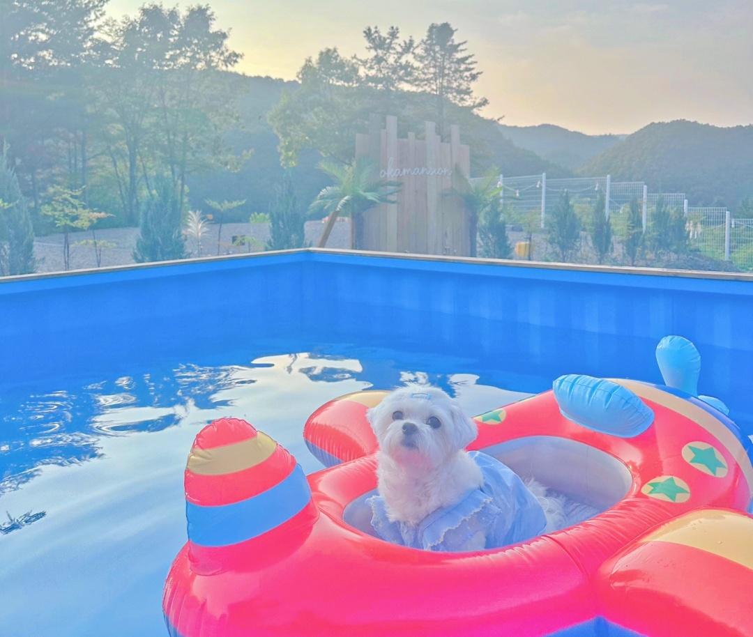 대표 사진