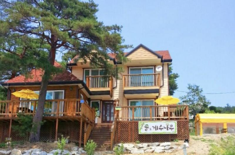 Gangneung Sol and Cassia Pension