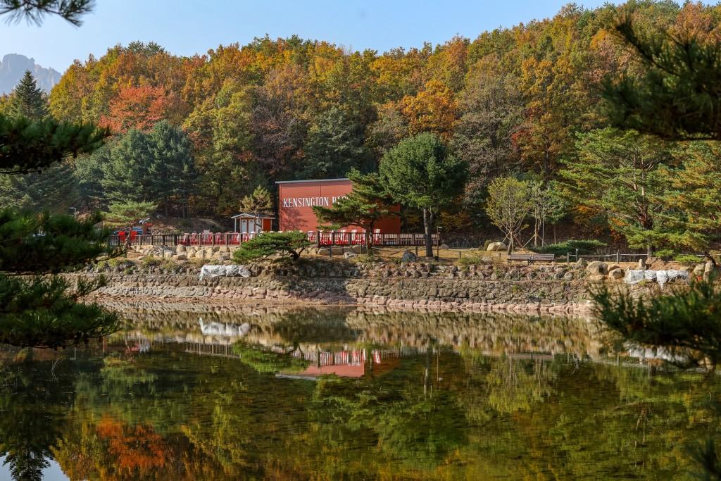 대표 사진