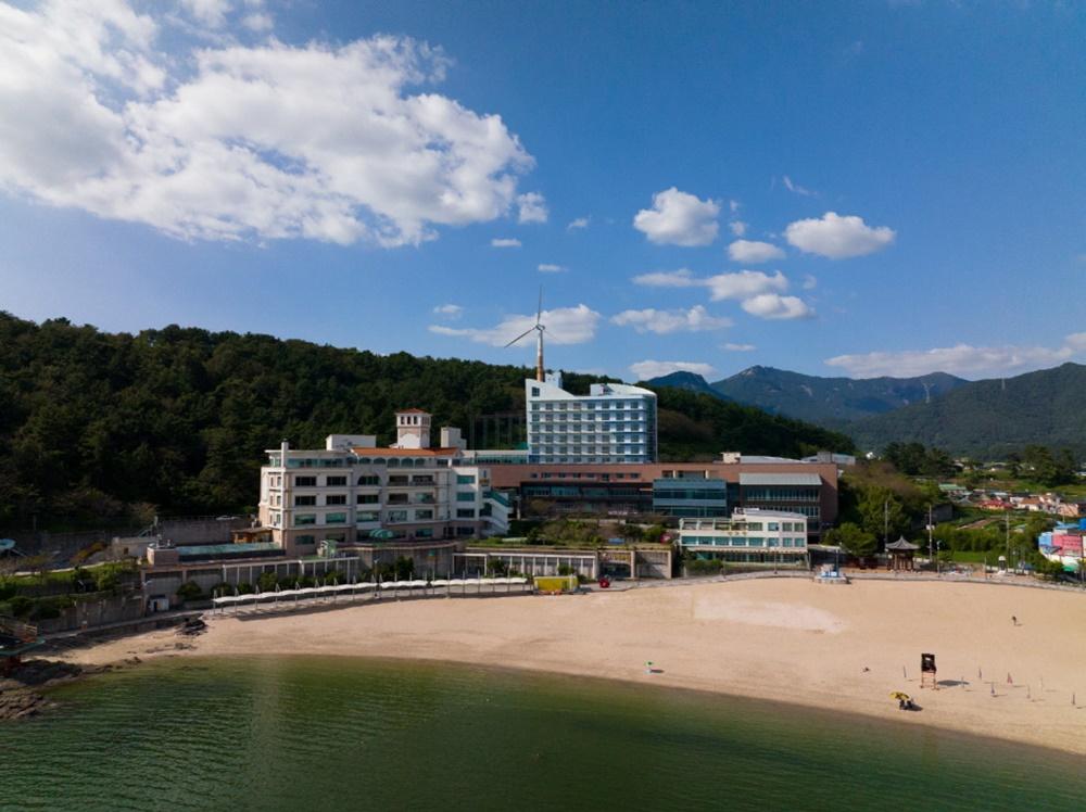 대표 사진