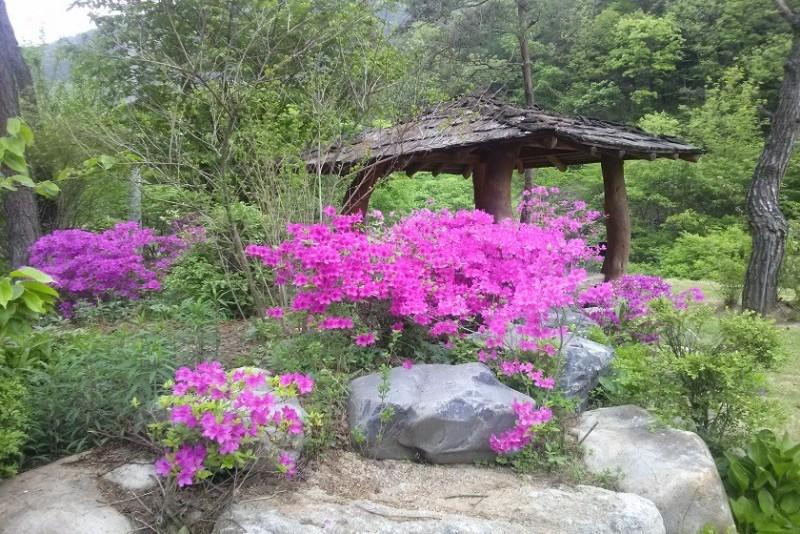 숙소 시설