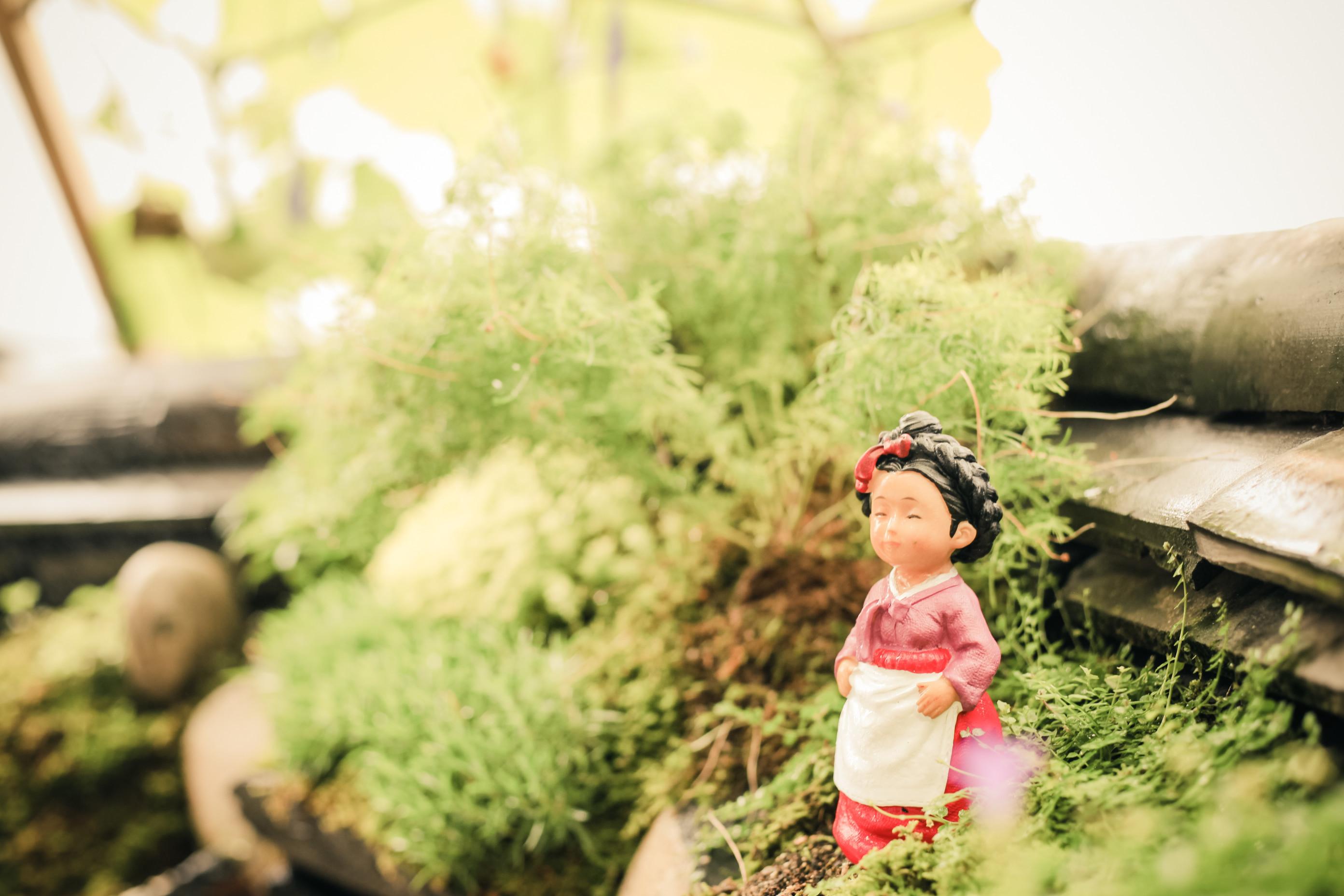 image cut IMG_0986.jpg