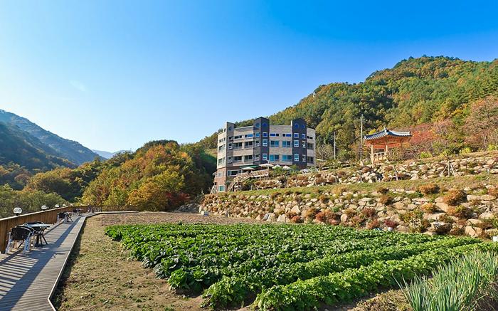Gangneung Voyager Pension
