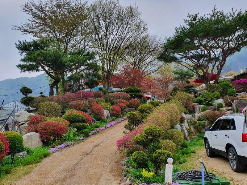 Gapyeong Flower Muji Pension (near the valley)-38