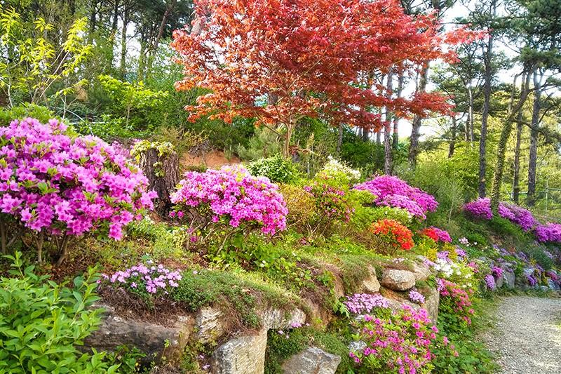Yongin Byeolbaragi Pension-27