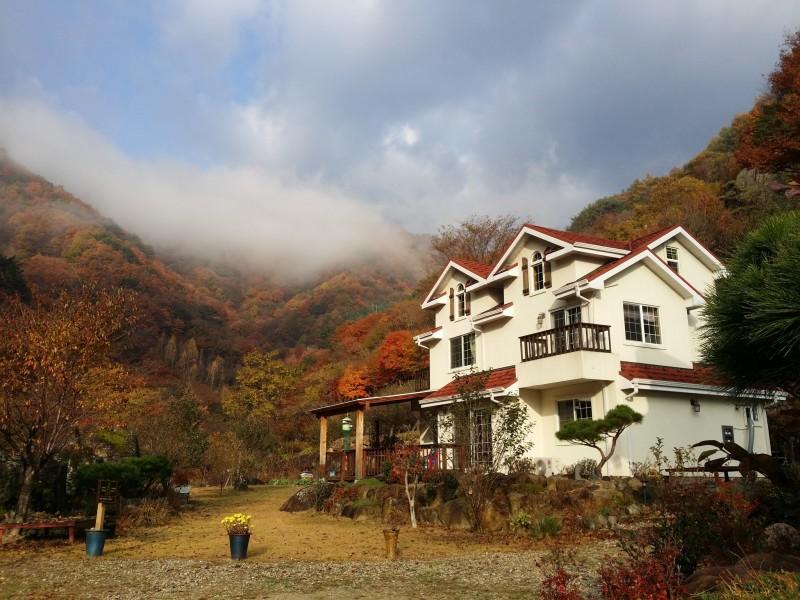 대표 사진