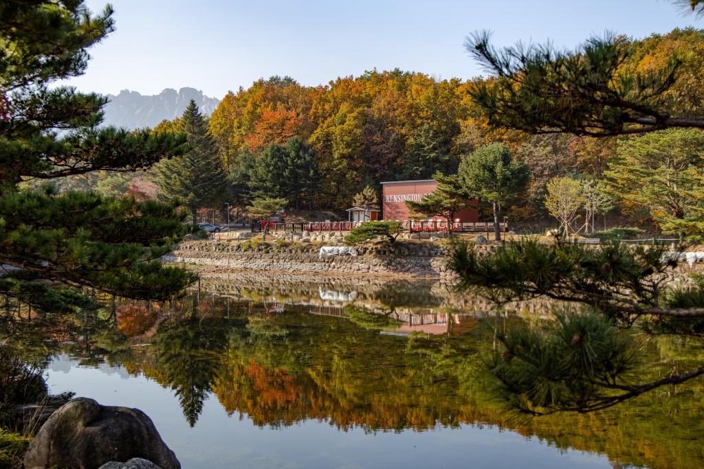 대표 사진