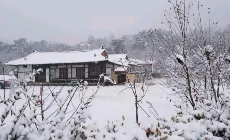대표 사진