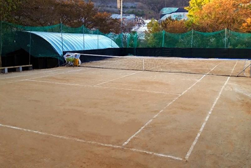 대표 사진