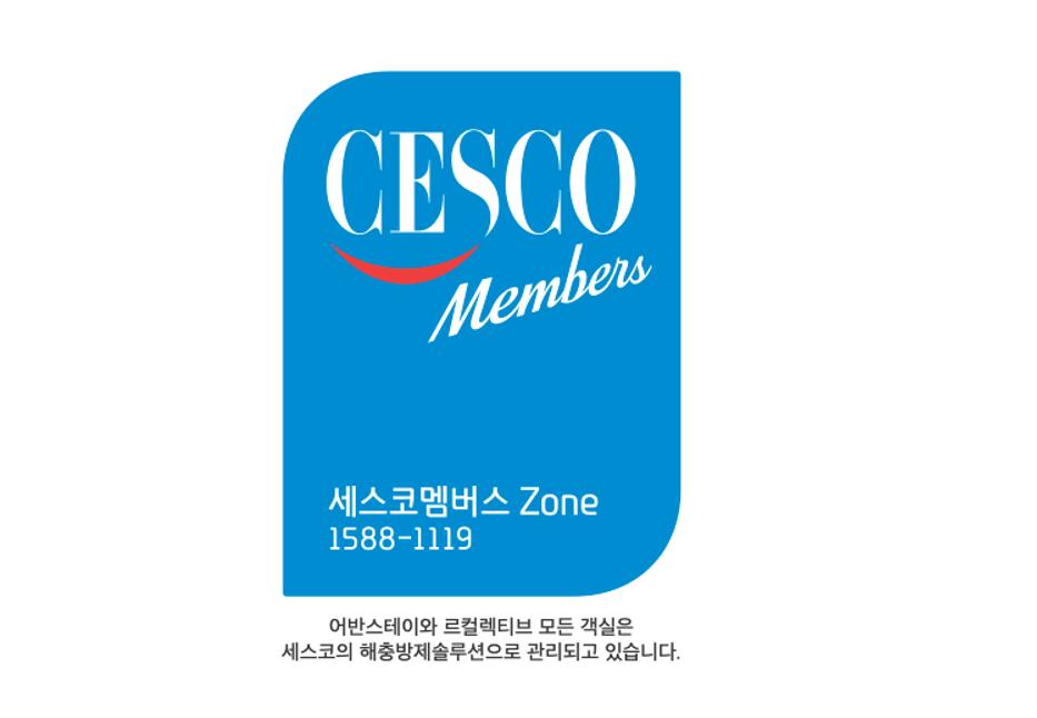 대표 사진