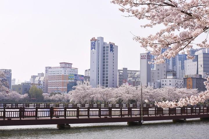 대표 사진