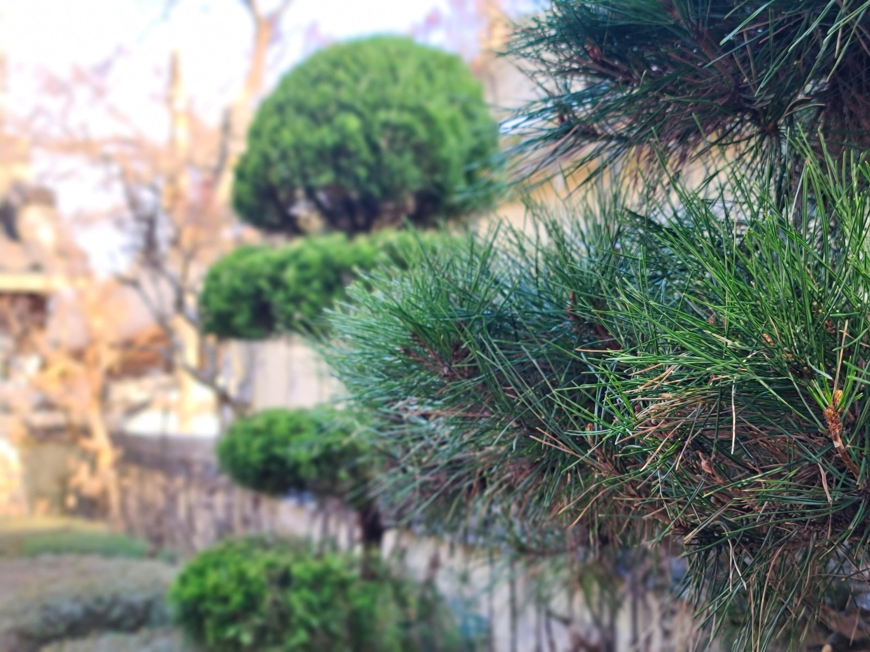 Gyeongju Staybukgun-10