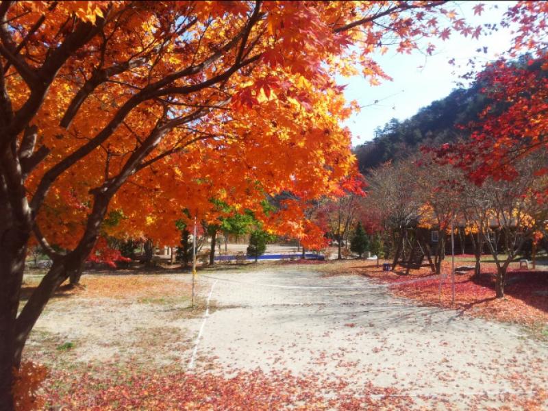 숙소 시설
