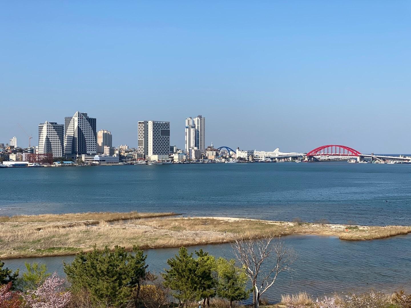 대표 사진