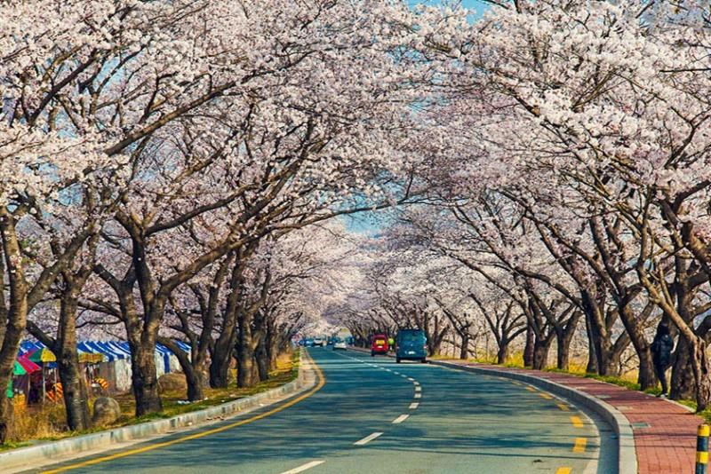 숙소 시설
