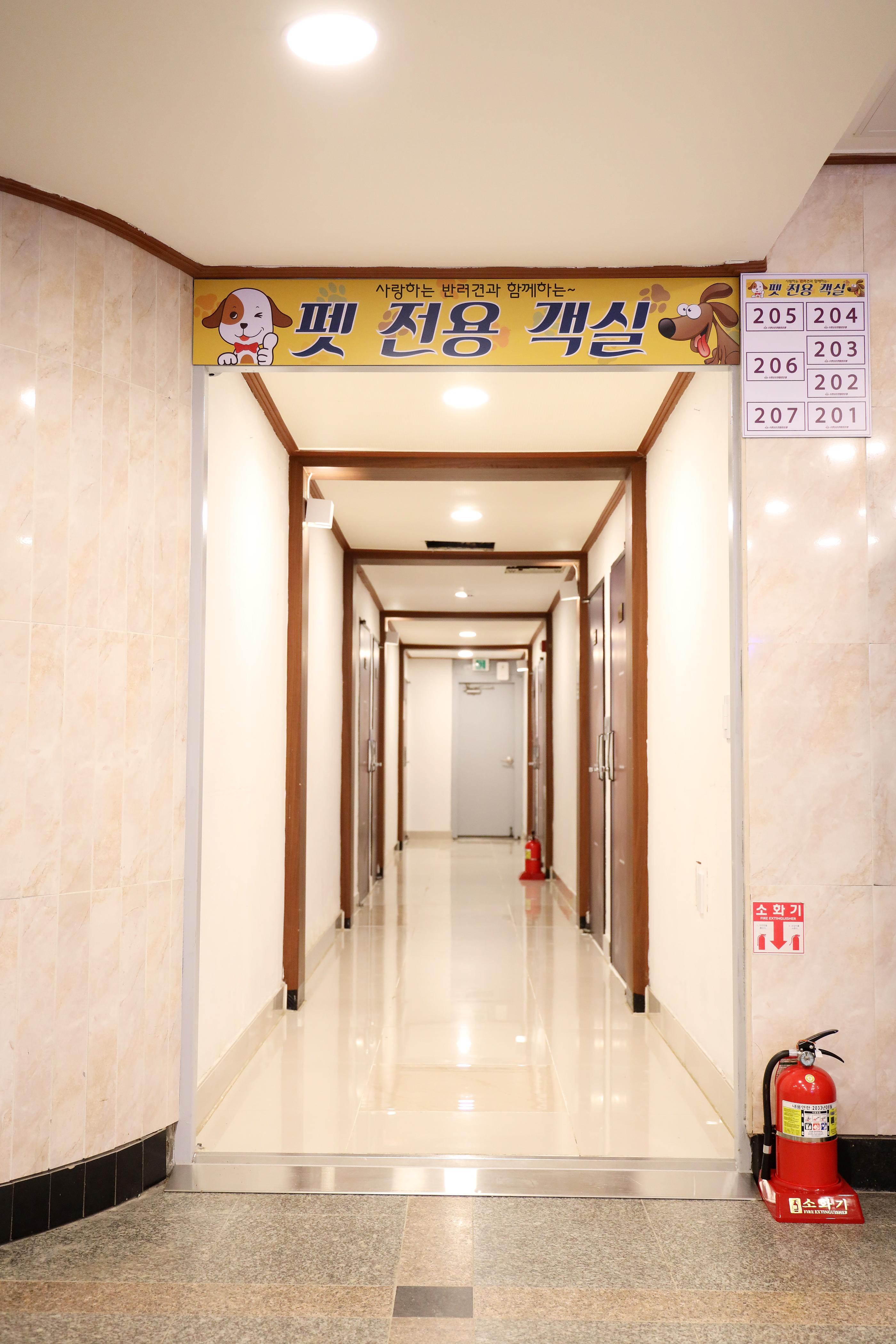 대표 사진