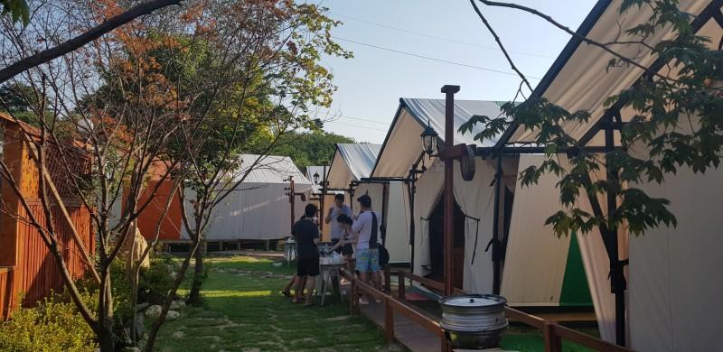 Pocheon Horse Kingdom Glamping-33