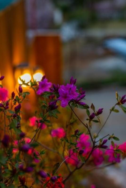 Gapyeong Seravi Pool Villa-50