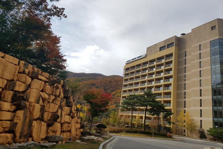 대표 사진
