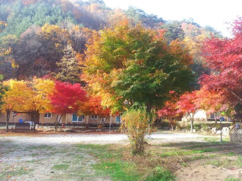 숙소 시설