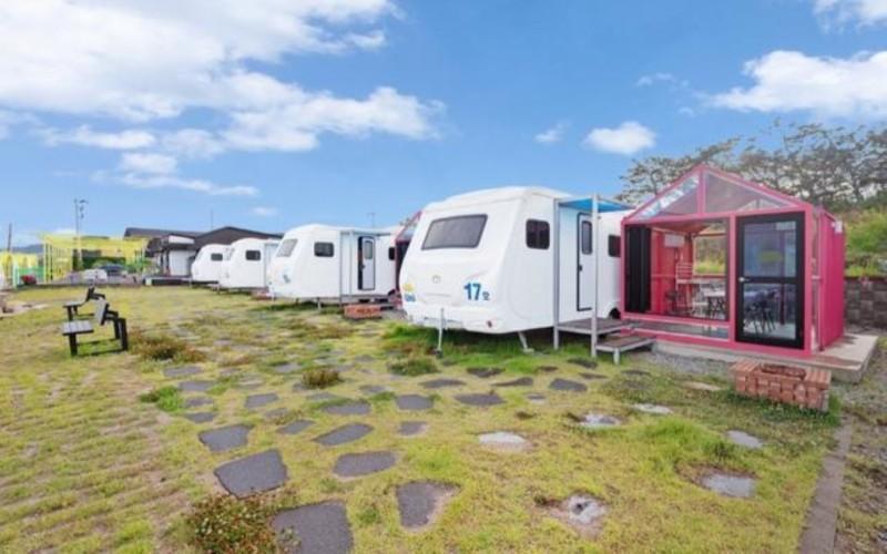 Pohang Uni's Sea Caravan (Guryongpo Branch)